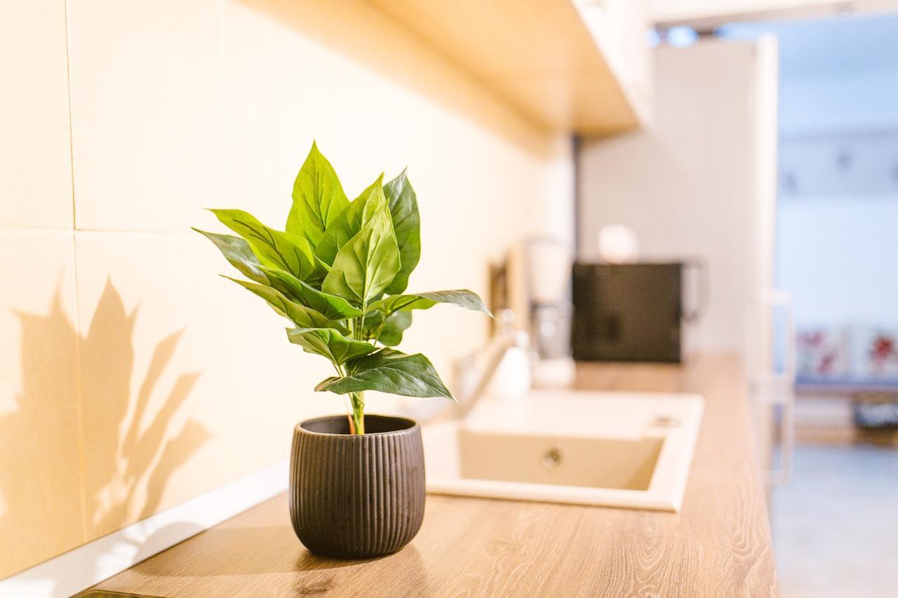 Apartament Maria Alba Iulia Ngoại thất bức ảnh
